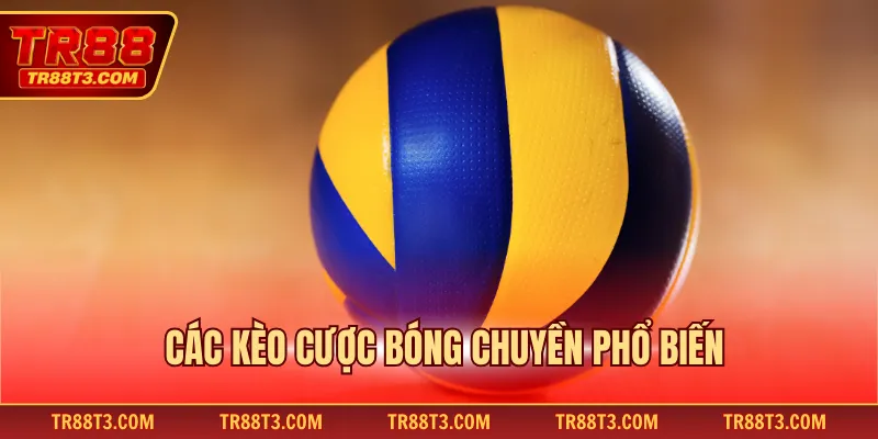 Các kèo cược bóng chuyền phổ biến