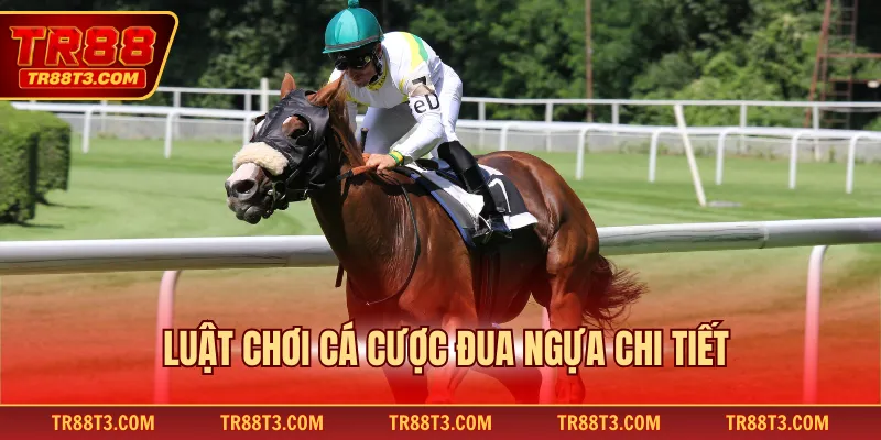 Luật chơi cá cược đua ngựa chi tiết